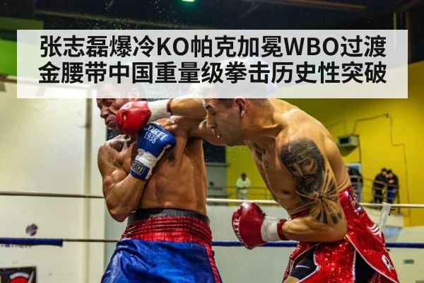 张志磊爆冷KO帕克加冕WBO过渡金腰带中国重量级拳击历史性突破